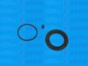 AUTOFREN SEINSA D4796 Repair Kit, brake caliper
